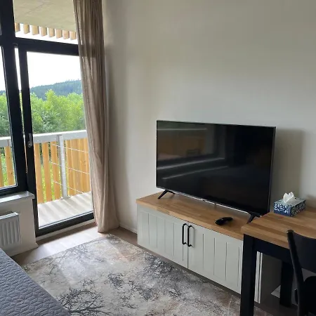 Na Zadove Apartment *